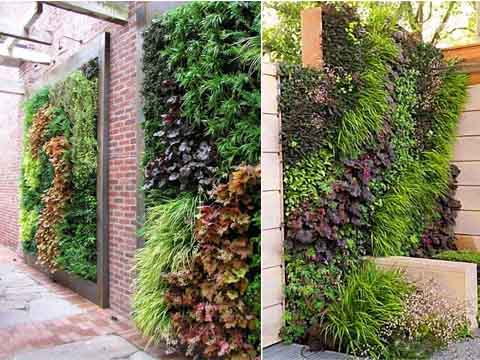 植物養(yǎng)護